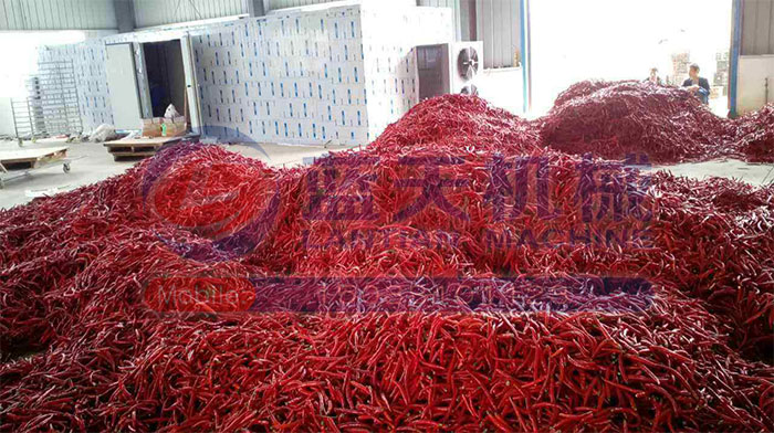 大型食品烘干機試機現(xiàn)場