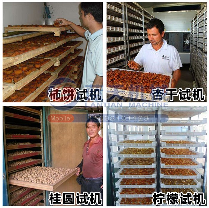 大型果脯烘干機現(xiàn)場